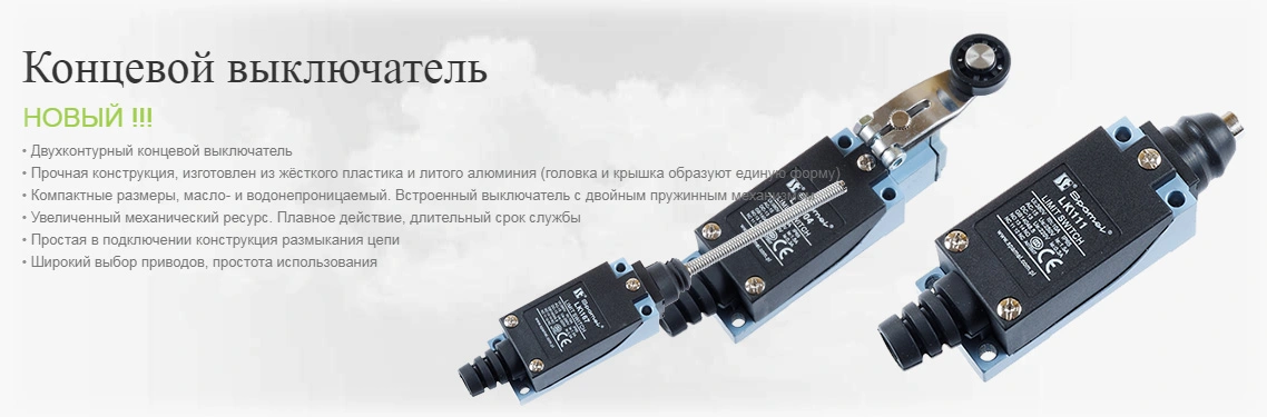 Какие основные категории продукции предлагает Spamel?